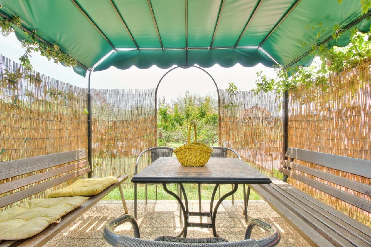 Nadia House With Apartments Zambratija (Istria) Exterior photo
